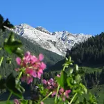 Walcheggerhof Agroturismo *