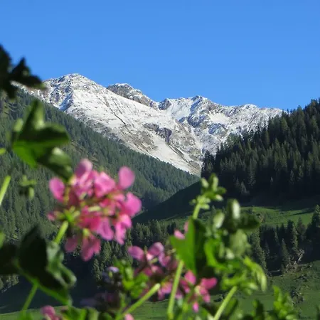 Walcheggerhof 팜스테이 *