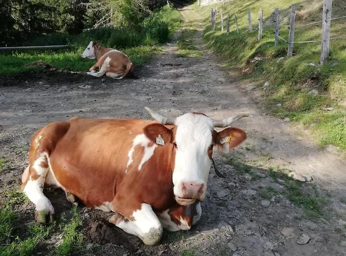 Walcheggerhof Alloggio per agriturismo Innervillgraten