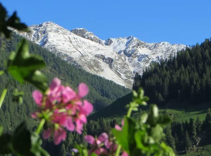 Walcheggerhof Alloggio per agriturismo *