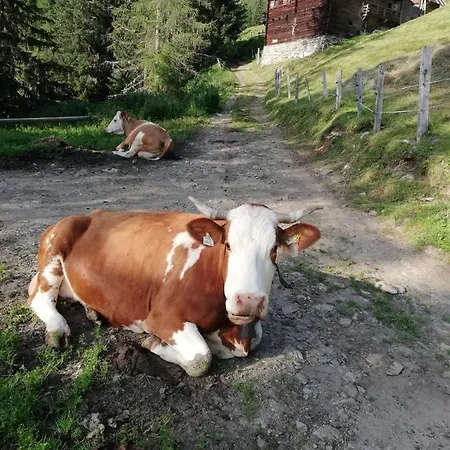 Walcheggerhof Bauernhof Innervillgraten